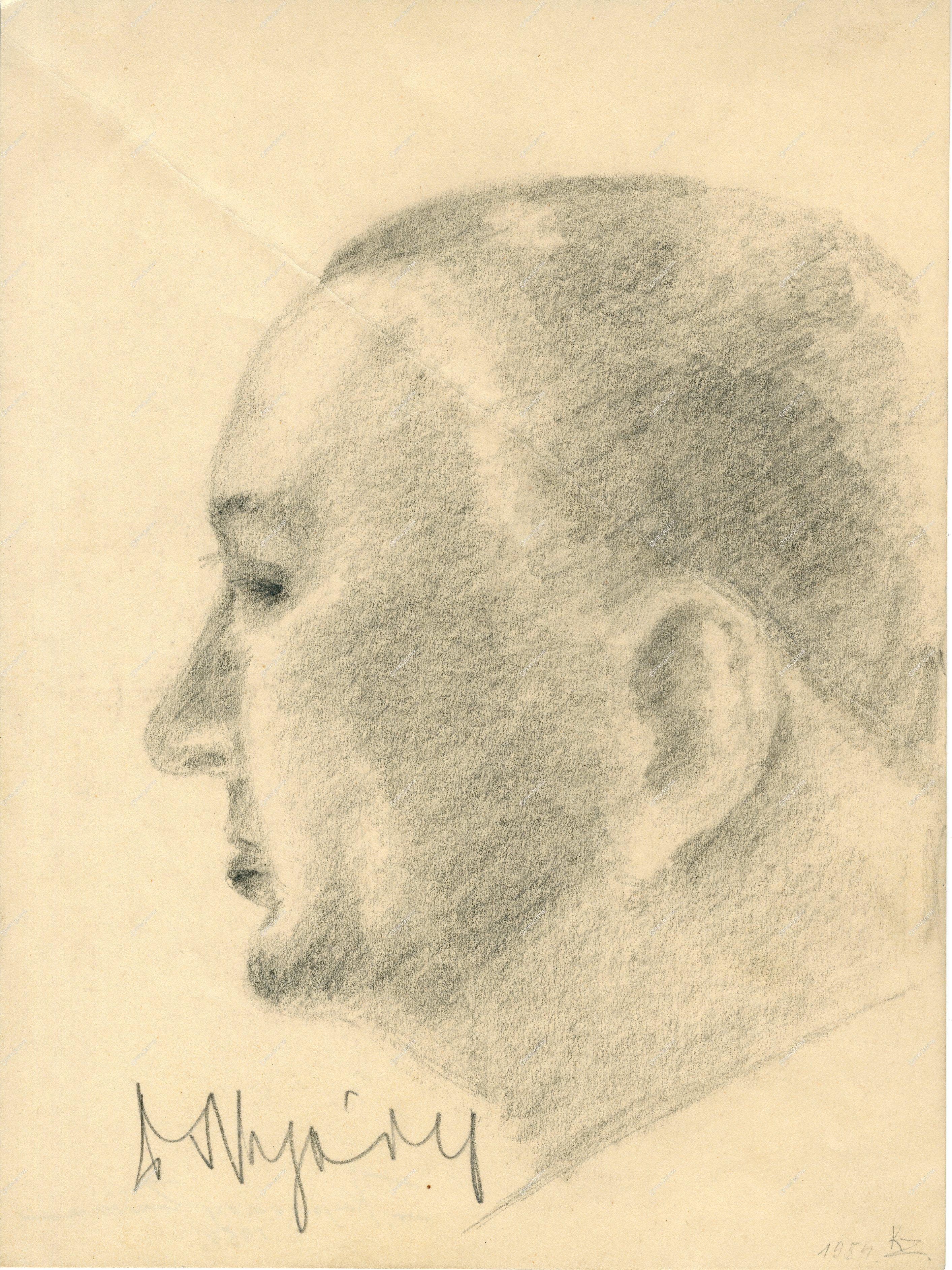 Nyáry László, dr. fotója